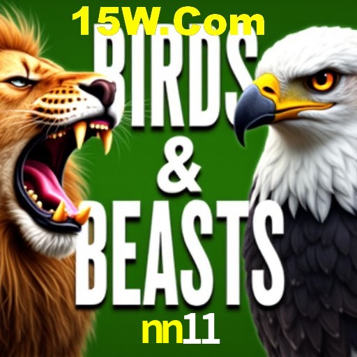 Apostas Esportivas na nn11: Um Guia Completo